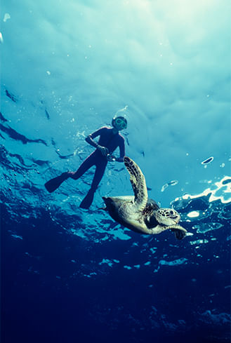 Hawaii_Exp-1.jpg