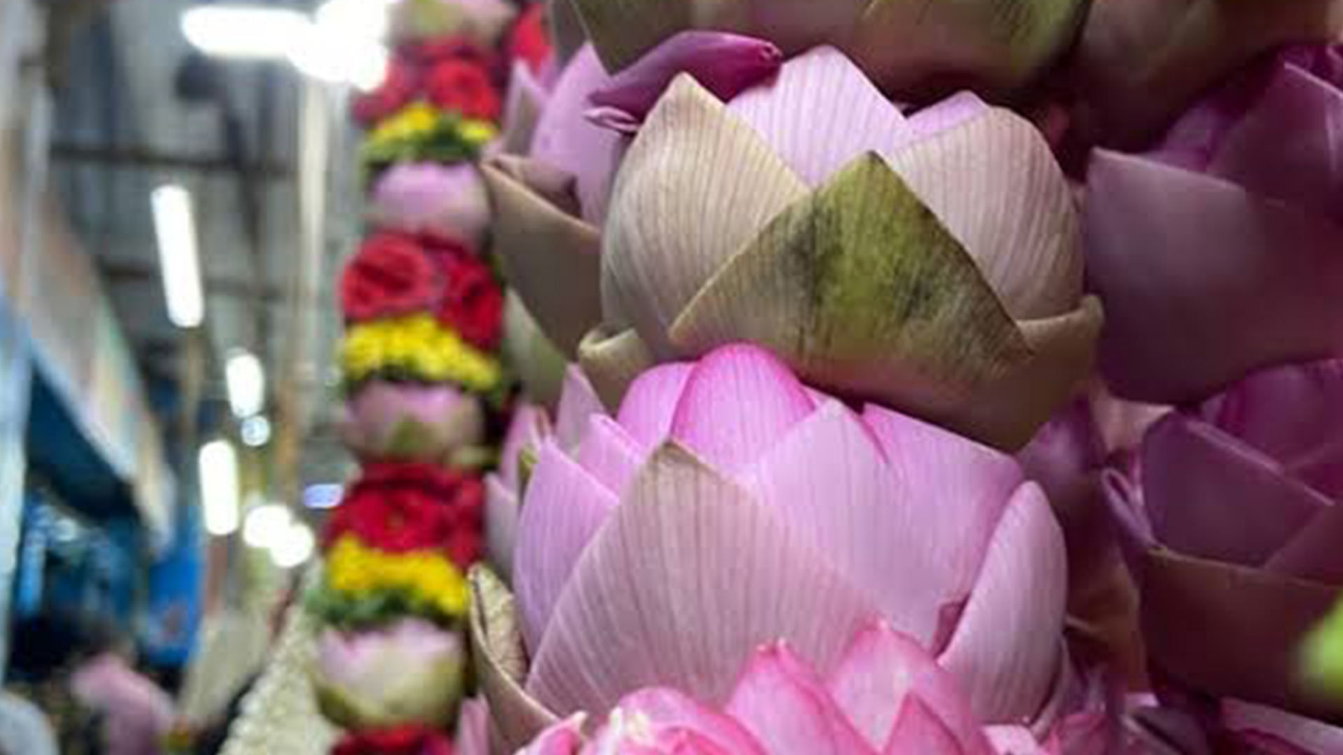 Flower Market in Bengaluru