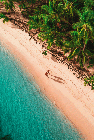 Couple walk a tropical beach in Dominica