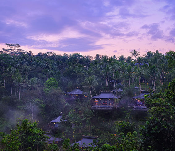 ASIA_Capella-Ubud.jpg