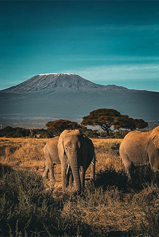 Kenya.jpg