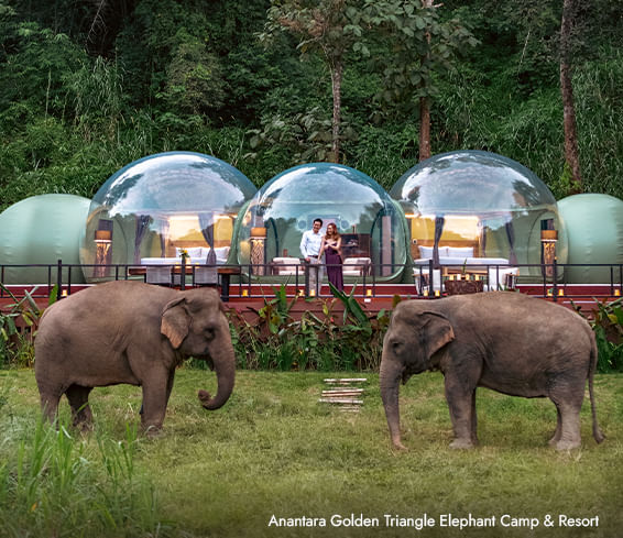 Habitats-of-hope_Anantara.jpg