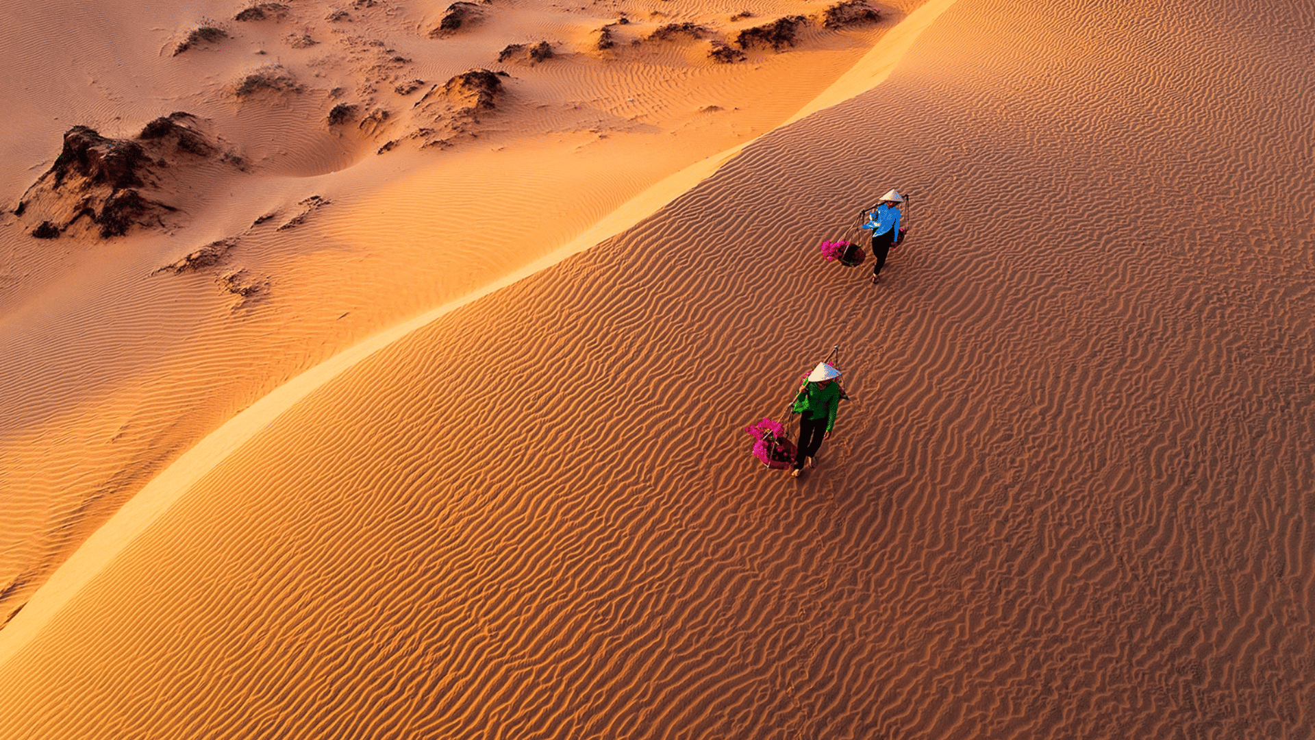 Local-Experience-Sand-Dune.png