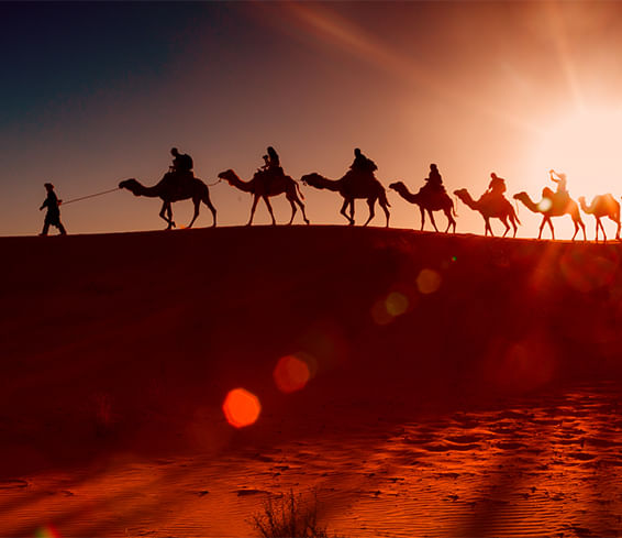 Dubai-Experiences_566x489.jpg