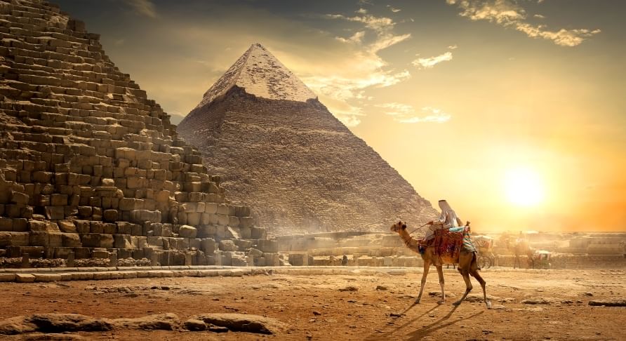 Camel riding experience with sunset views at a desert in Egypt