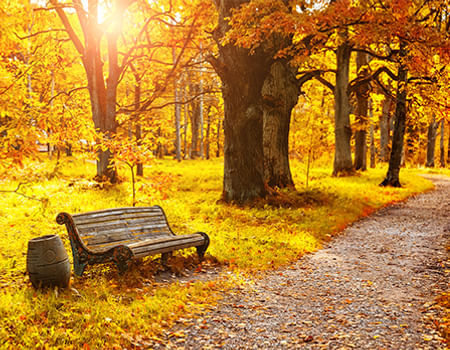 Autumn