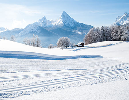 Winter