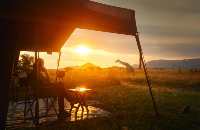 Safari-Hotels.jpg